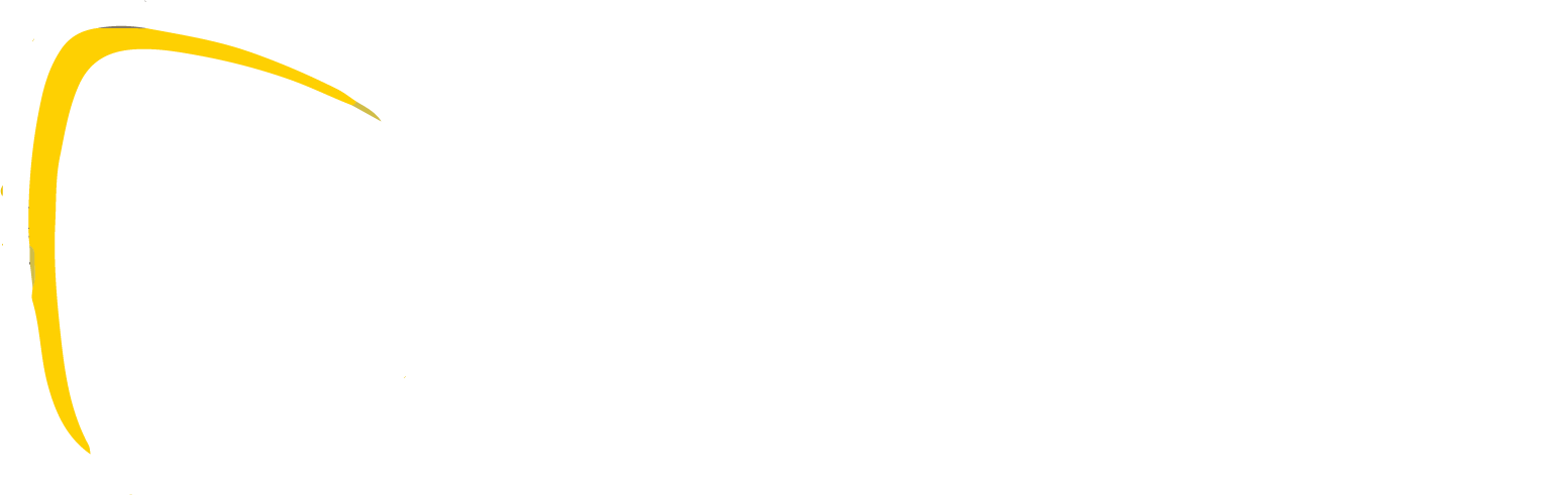 Brnad Logo